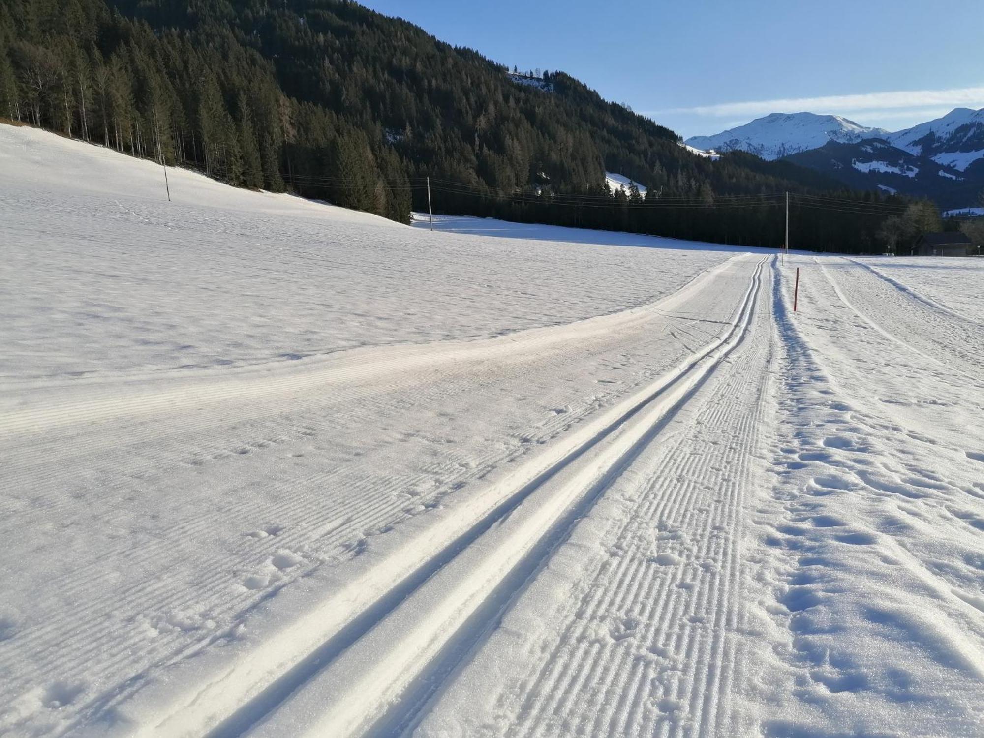 Wimmers Hundsegghof Wild001 นีเดอเรา ภายนอก รูปภาพ